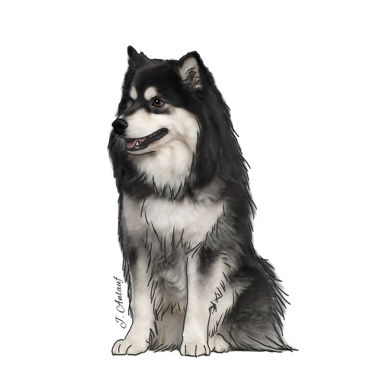 Finnish Lapphund (Design 2) - Printed Transfer Sheets for a variety of surfaces